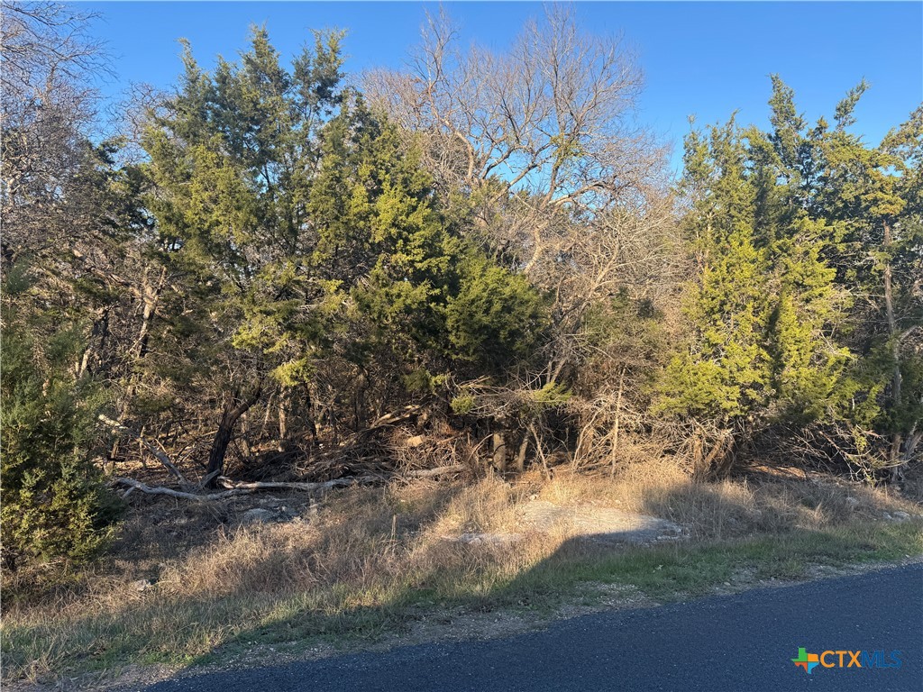 14903 Cart Road Property Photo 1