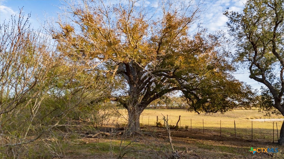 14858 Fm 1322 Property Photo 27