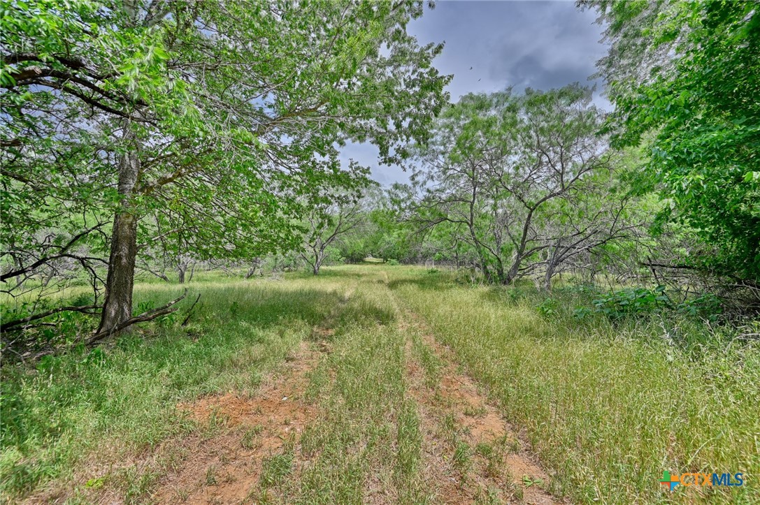 1589 Jeddo Road Property Photo 4