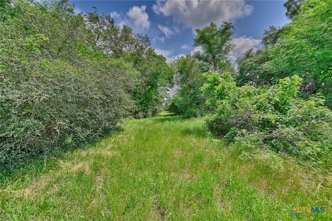 1589 Jeddo Road Property Photo 5