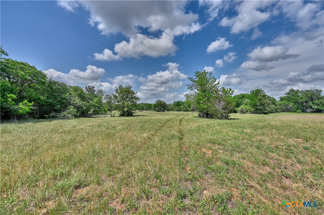1589 Jeddo Road Property Photo 13
