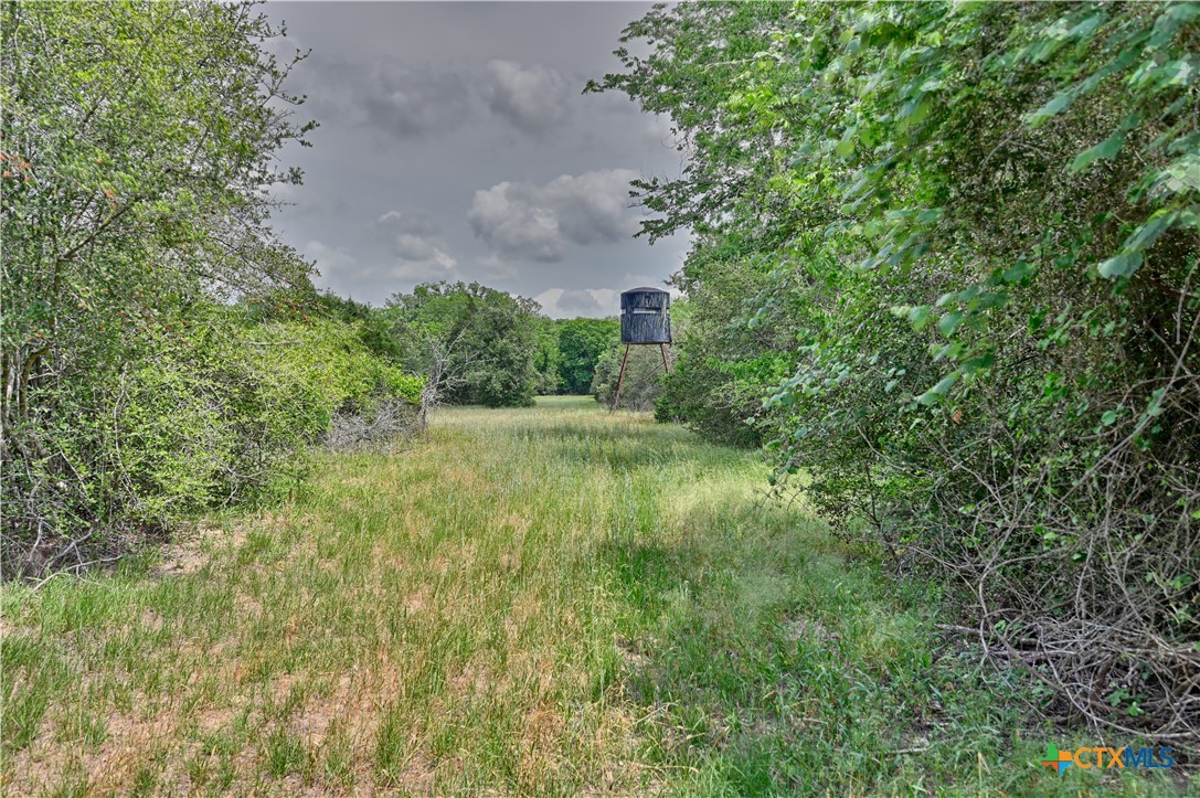 1589 Jeddo Road Property Photo 15