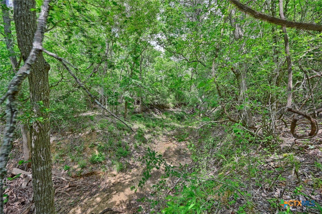 1589 Jeddo Road Property Photo 16