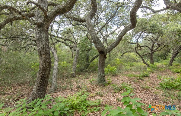 Tract 8 Pr 4601 Property Photo 3