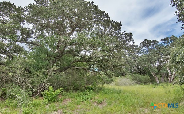Tract 8 Pr 4601 Property Photo 4