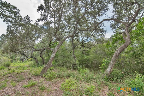 Tract 8 Pr 4601 Property Photo 6