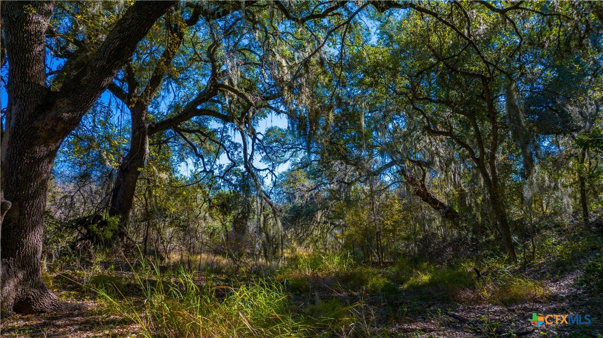 000 Private Road 4002 Property Photo 16
