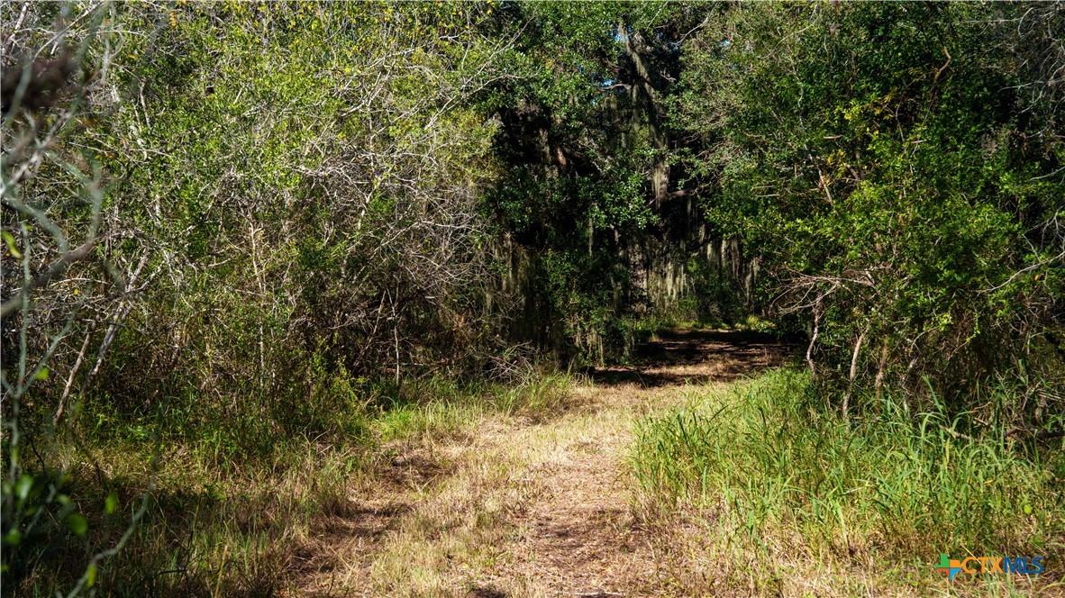000 Private Road 4002 Property Photo 18