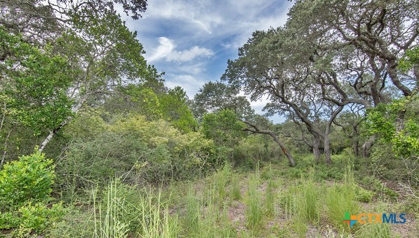 Tract 12 Pr 4061 Property Photo 5