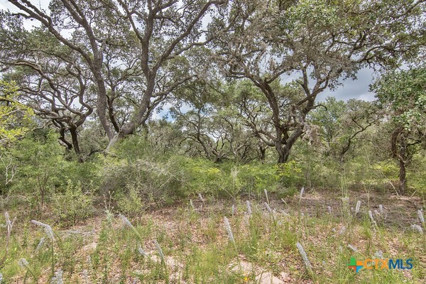 Tract 12 Pr 4061 Property Photo 8