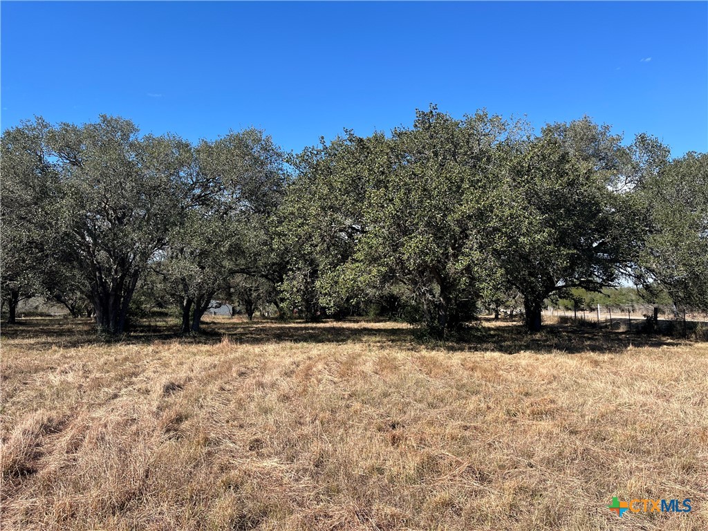 19 John Wayne Trail Property Photo 1