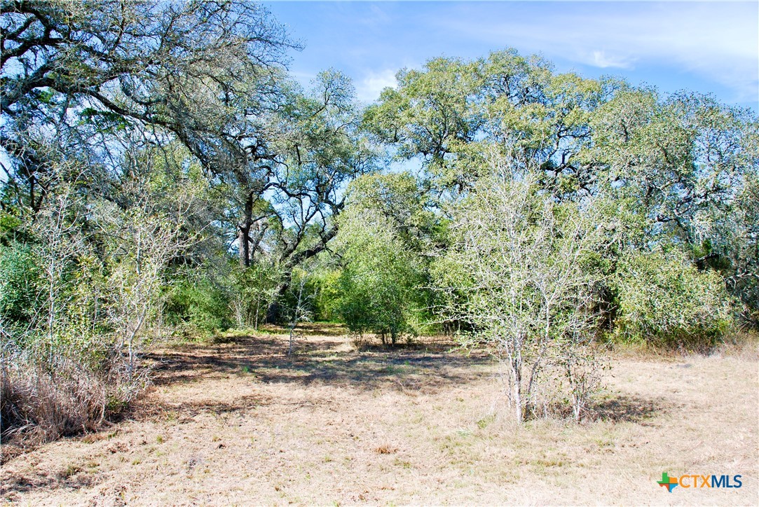 2574 County Road 285 Property Photo 27