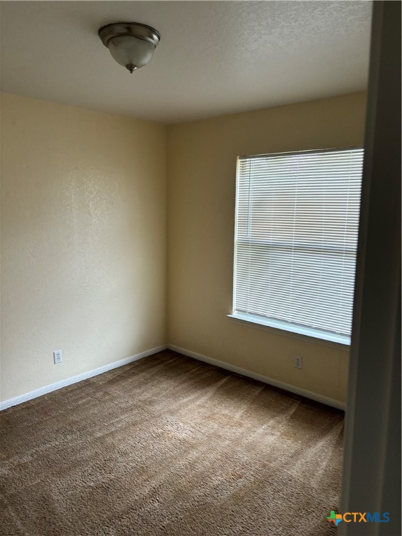 2316 Timberline Drive Property Photo 4
