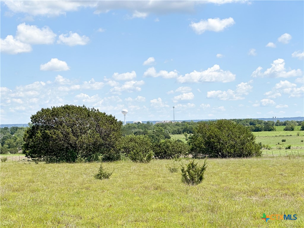 Tbd Fm 116 Property Photo 15