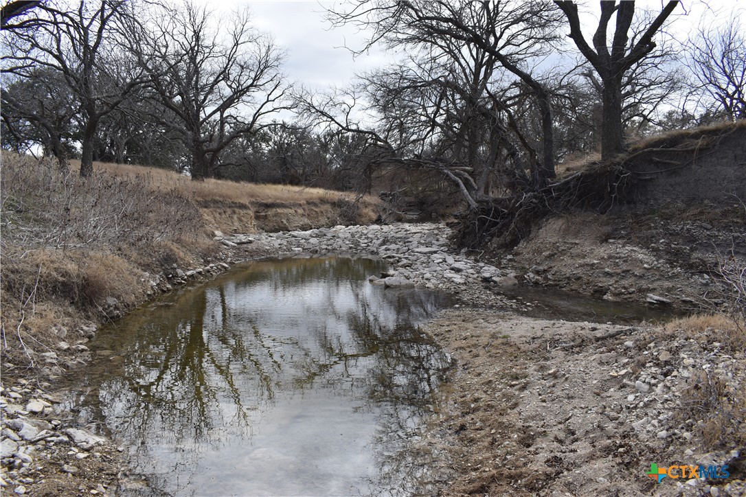 Tbd County Road 621 Property Photo 3