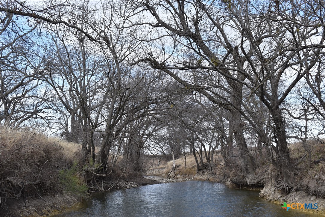 Tbd County Road 621 Property Photo 4