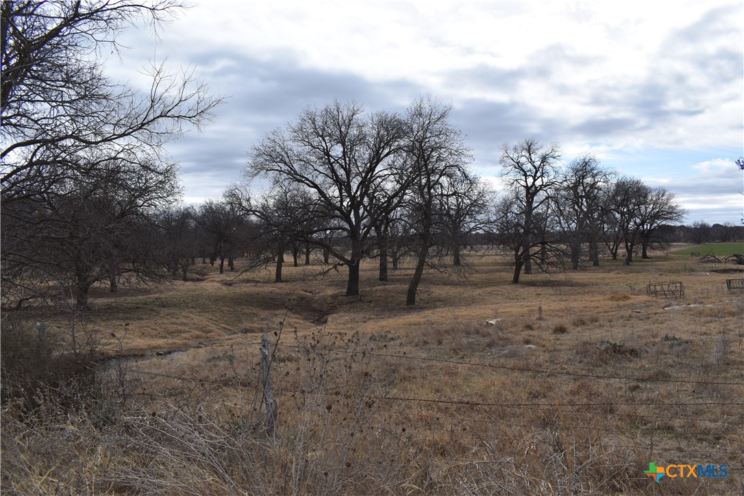 Tbd County Road 621 Property Photo 6
