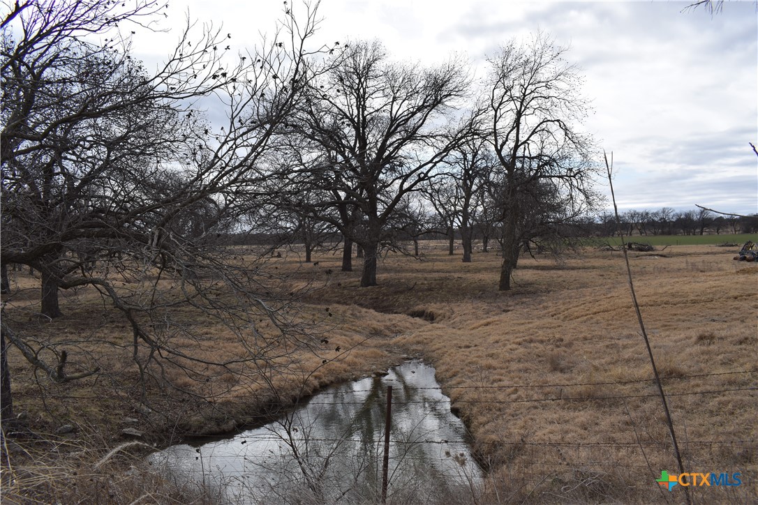 Tbd County Road 621 Property Photo 7