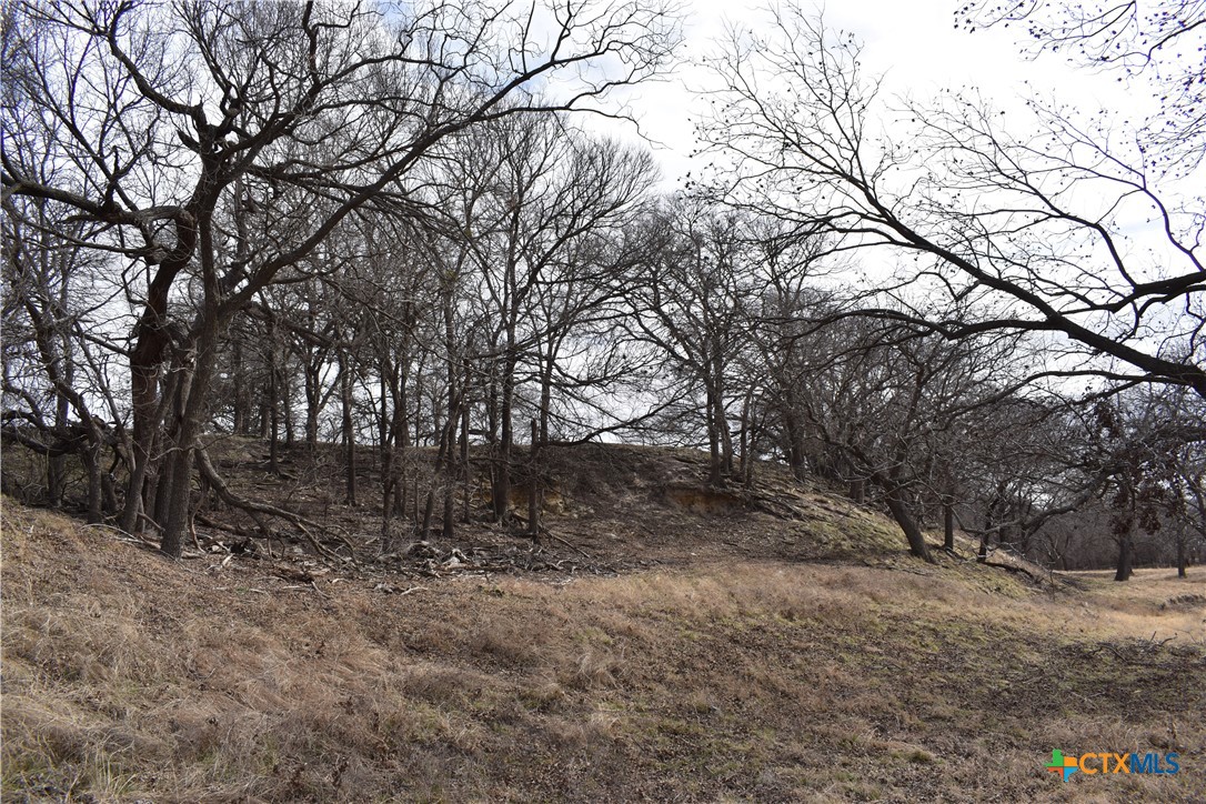 Tbd County Road 621 Property Photo 10