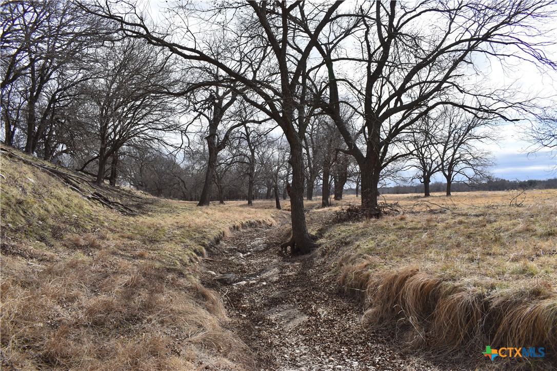 Tbd County Road 621 Property Photo 11