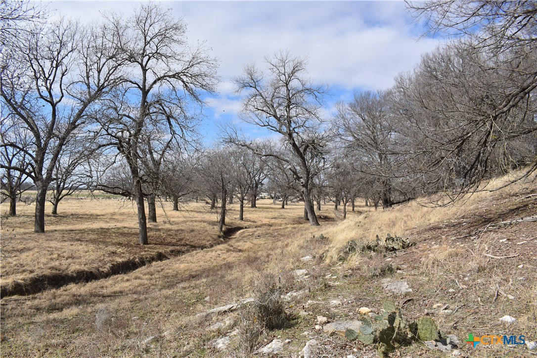 Tbd County Road 621 Property Photo 12