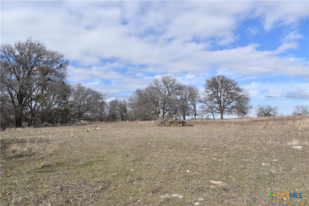 Tbd County Road 621 Property Photo 13