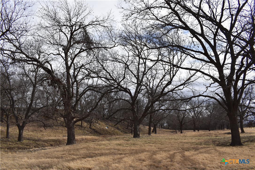 Tbd County Road 621 Property Photo 14