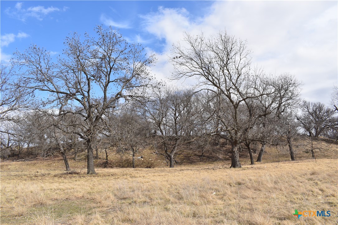 Tbd County Road 621 Property Photo 15