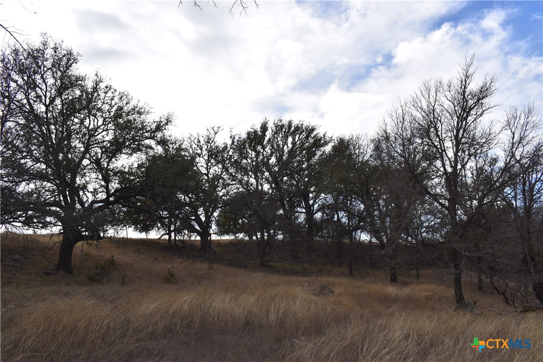 Tbd County Road 621 Property Photo 17