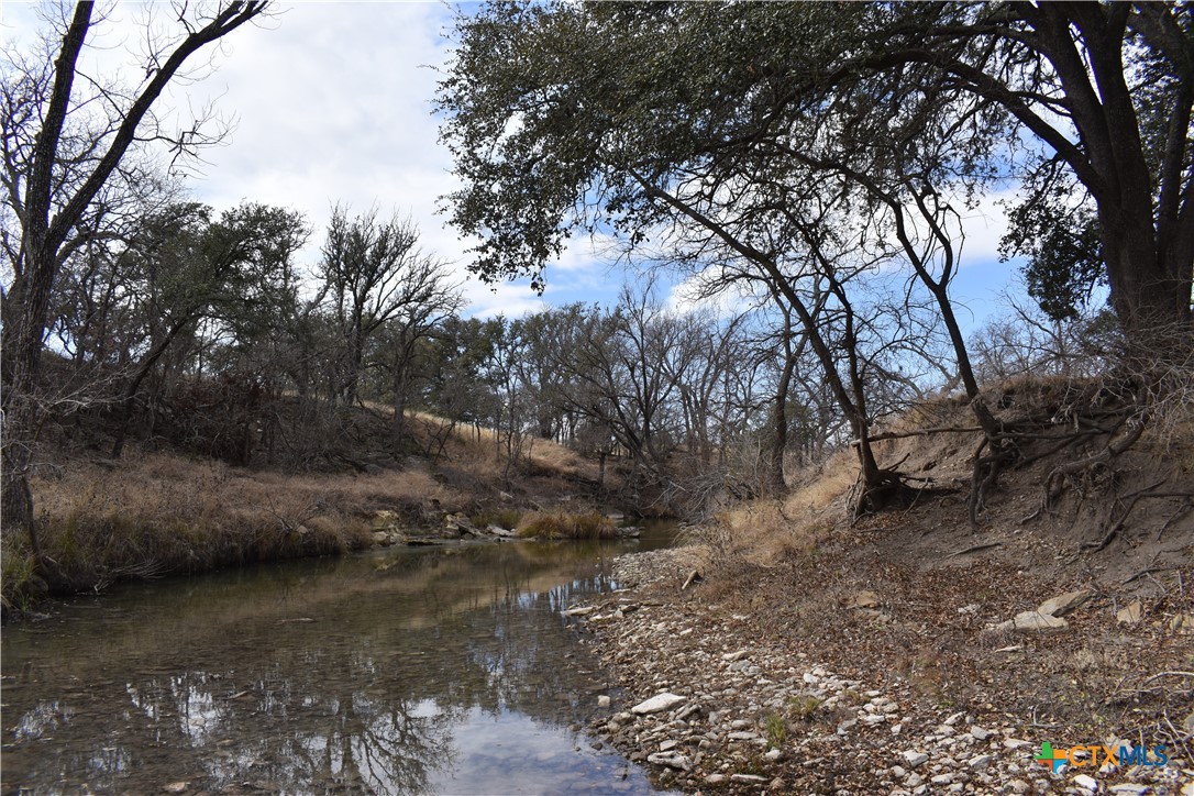 Tbd County Road 621 Property Photo 18