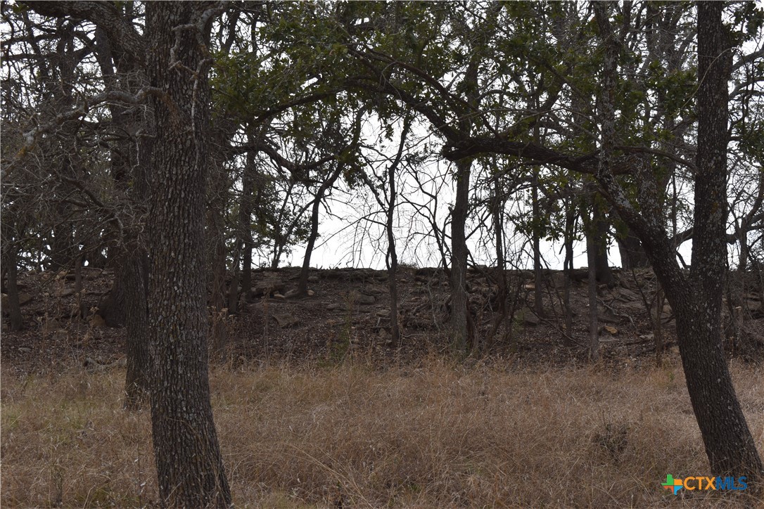 Tbd County Road 621 Property Photo 19
