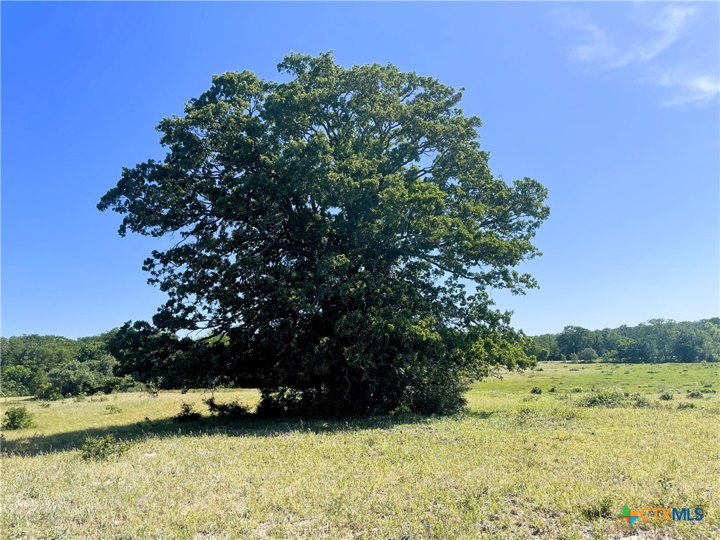 Tbd Fm 39 Property Photo 11