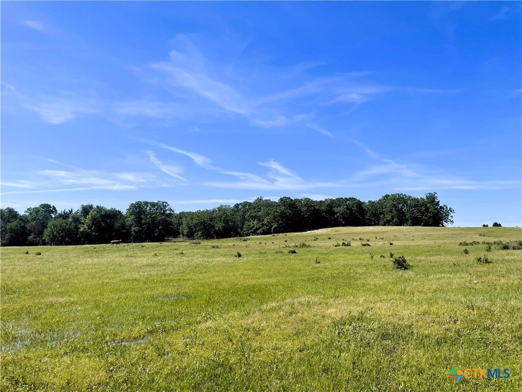 Tbd Fm 39 Property Photo 12