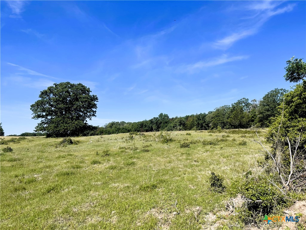 Tbd Fm 39 Property Photo 14