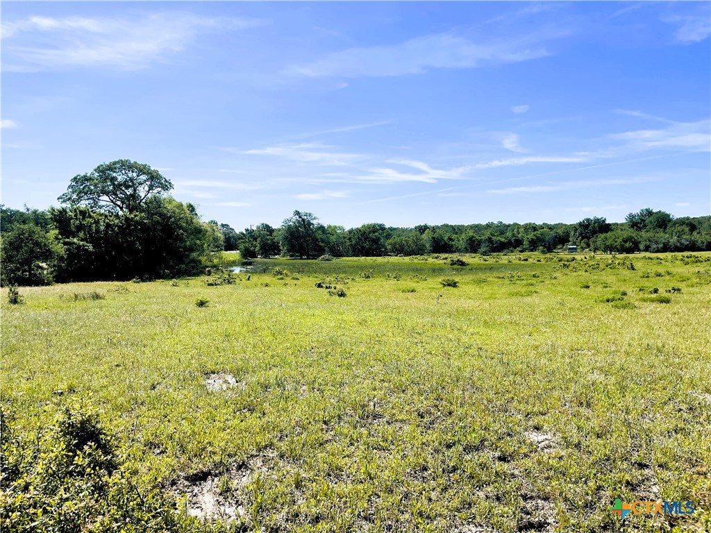 Tbd Fm 39 Property Photo 15