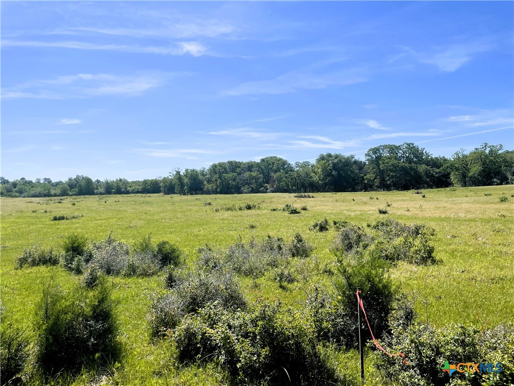 Tbd Fm 39 Property Photo 16