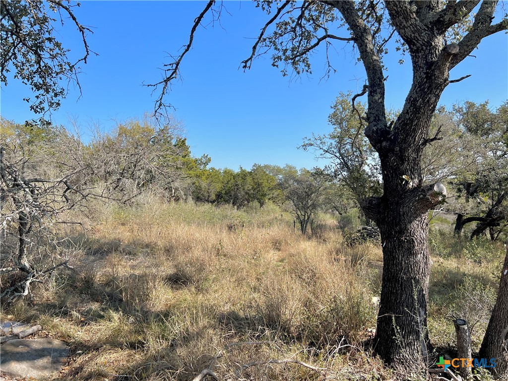 000 Sage Circle Property Photo 5