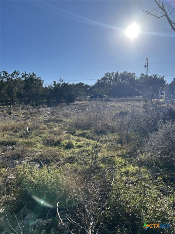 631 Hedgestone Property Photo 4