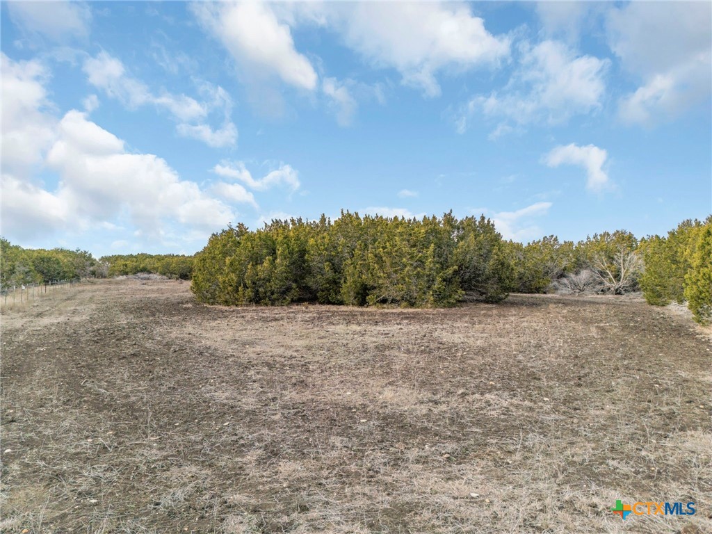 3250 County Road 202 Property Photo 9