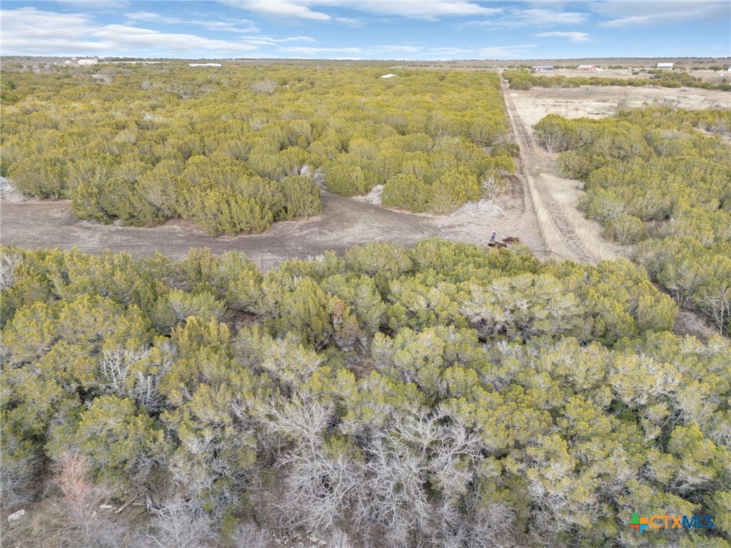3250 County Road 202 Property Photo 16