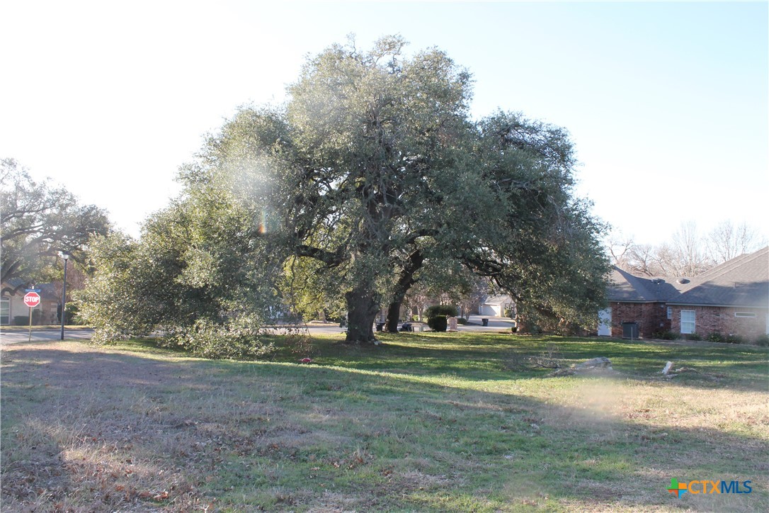3702 Fall Creek Lane Property Photo 2