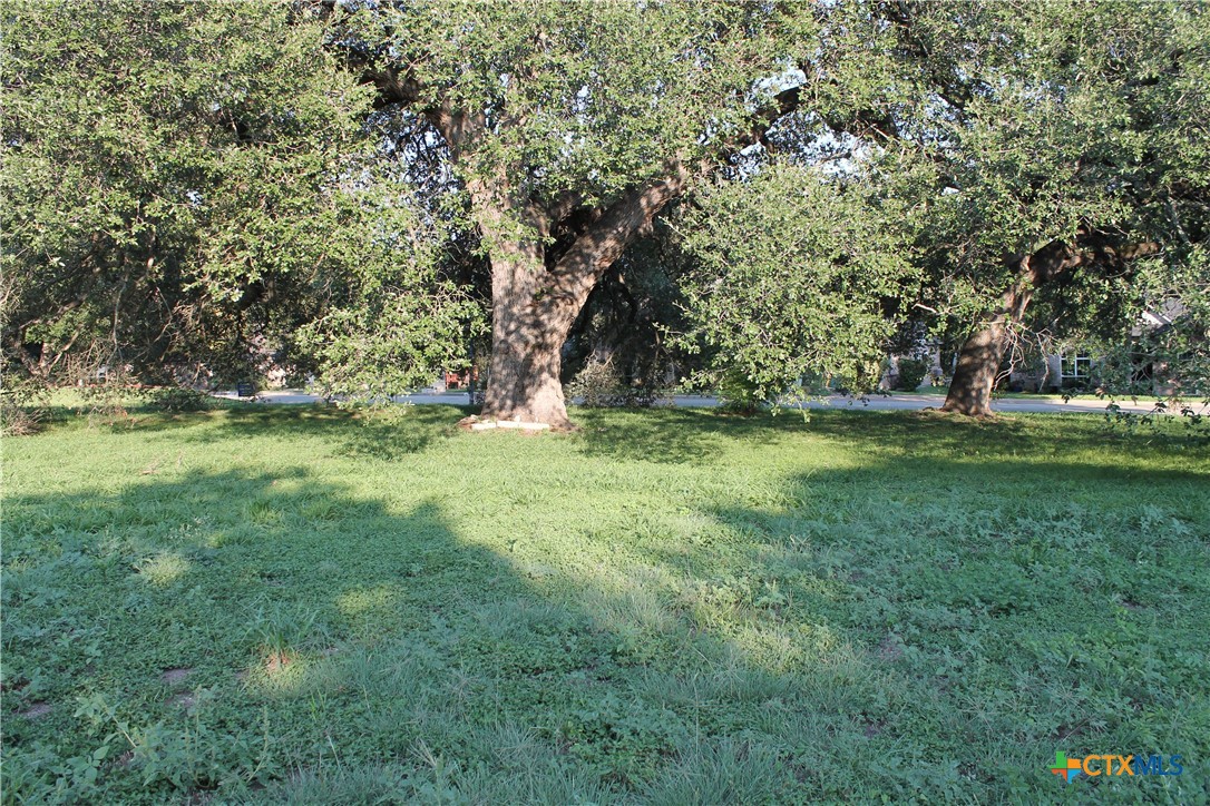 3702 Fall Creek Lane Property Photo 4