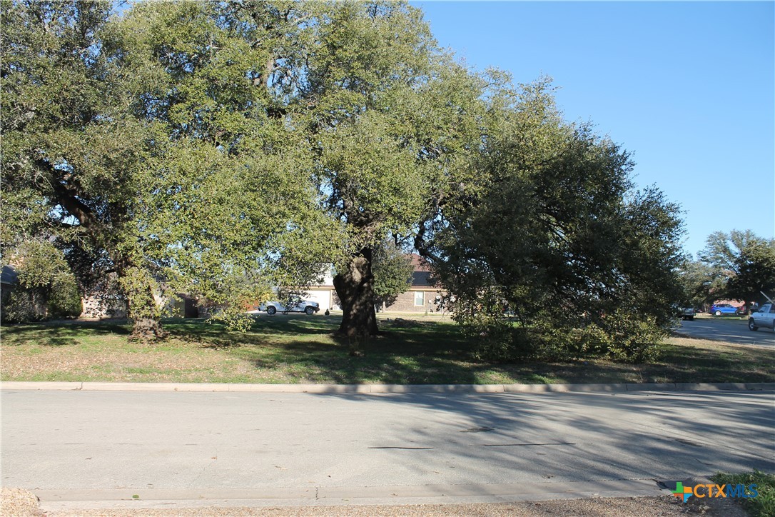 3702 Fall Creek Lane Property Photo 5