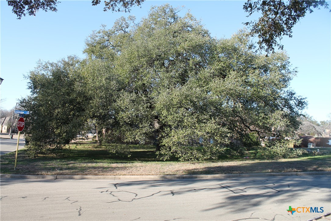 3702 Fall Creek Lane Property Photo 7