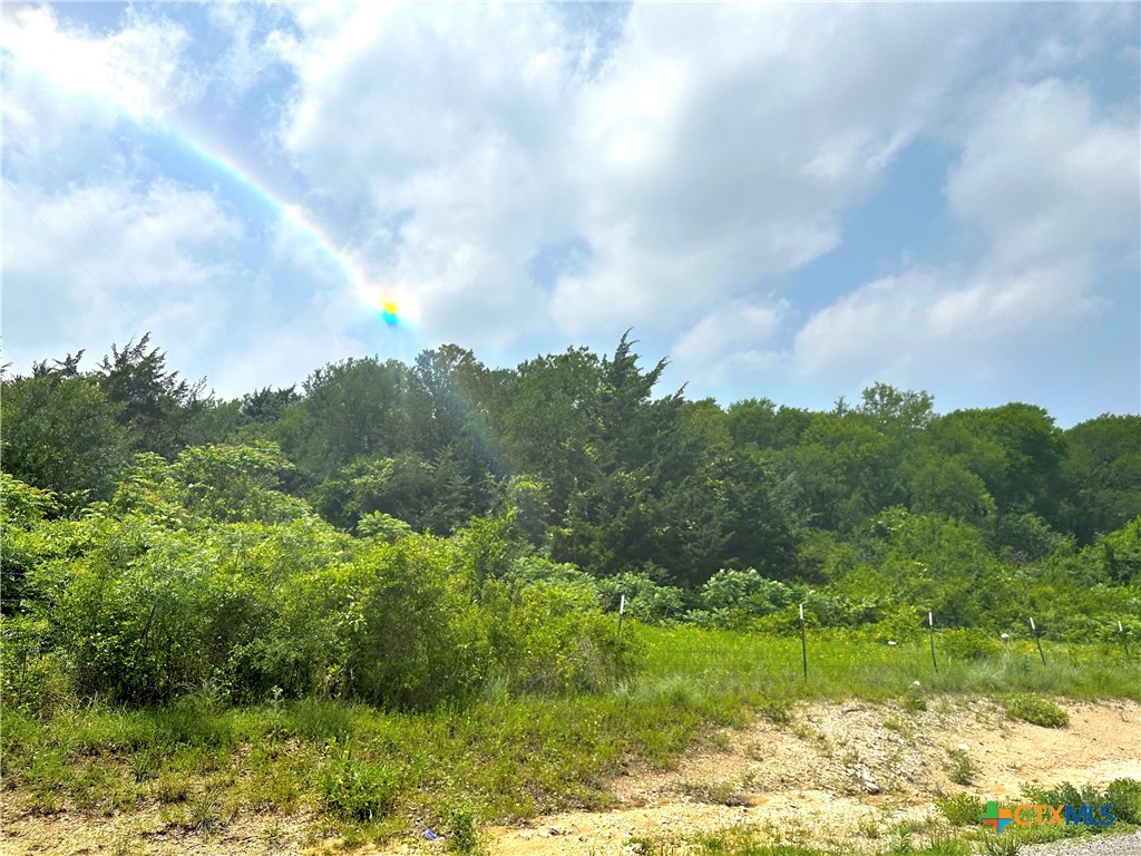 13.3 Ac. Tract 23 Remington Circle Property Photo 6