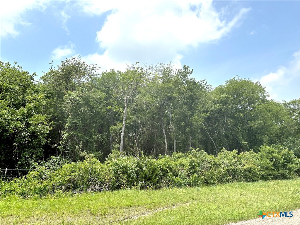 13.3 Ac. Tract 23 Remington Circle Property Photo 8