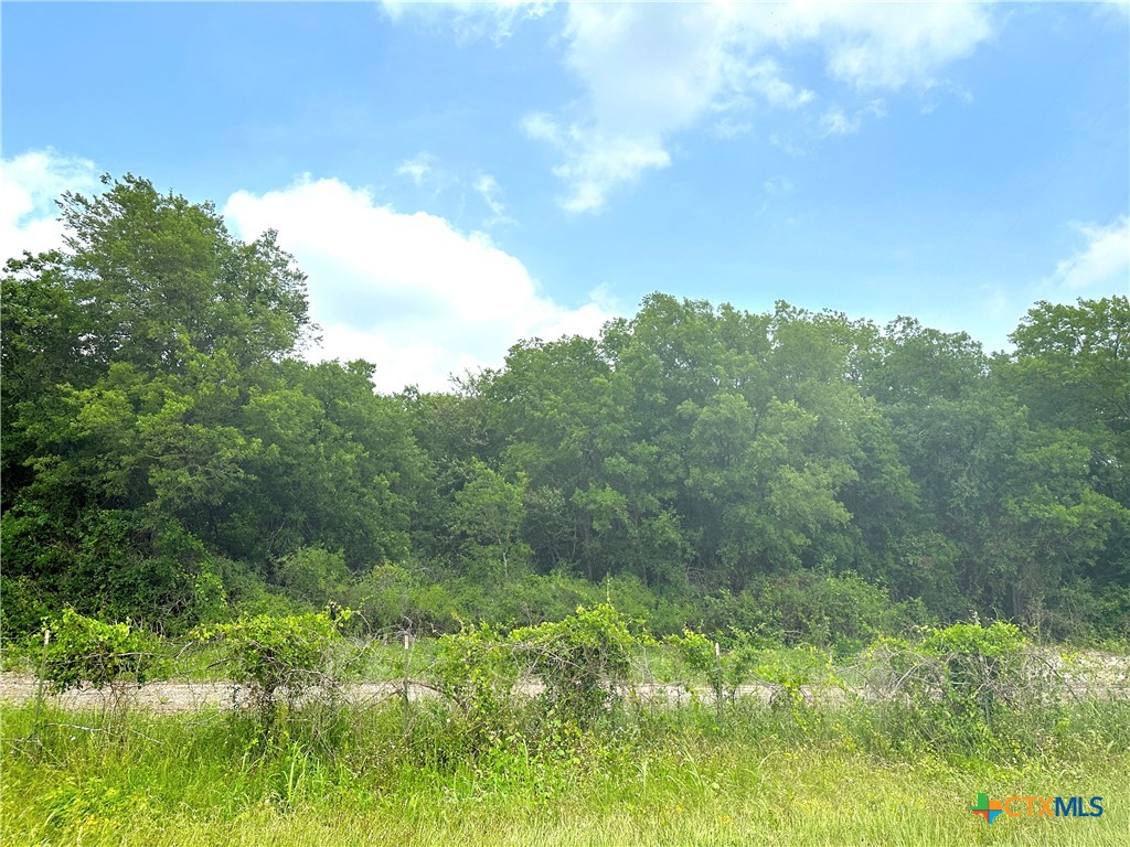 13.7 Ac. Tract 22 Remington Circle Property Photo 5