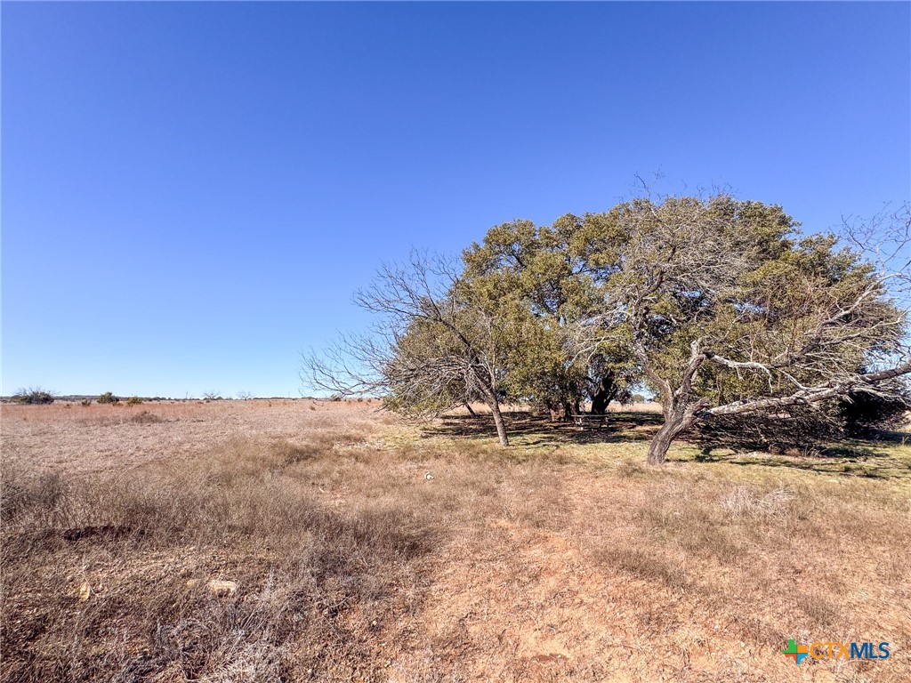810 Self Road Property Photo 3