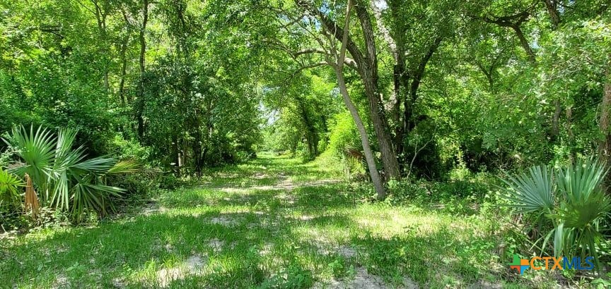 2224 Levee Road Property Photo 14
