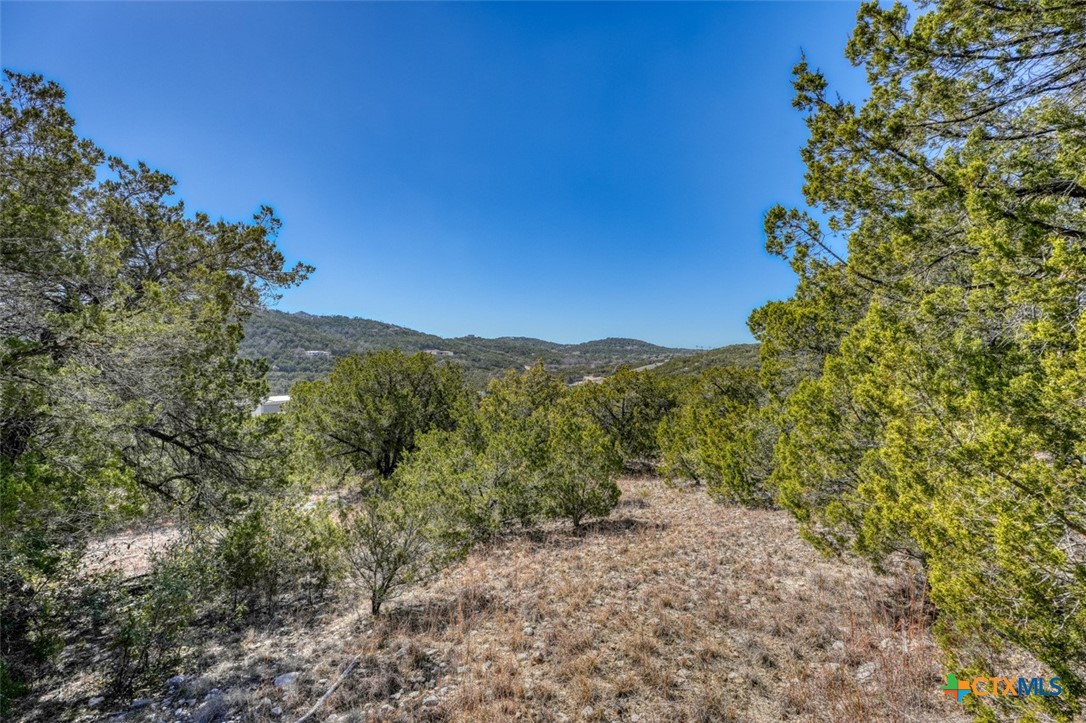 18920 Fm-1431 Property Photo 15